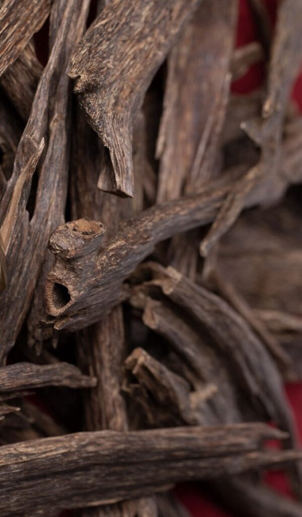 الهندي زورا غابات نجلاند ( خنة سويتية روعة ) دبل وتربل سوبر