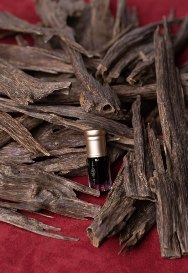 الهندي زورا غابات نجلاند ( خنة سويتية روعة ) دبل وتربل سوبر