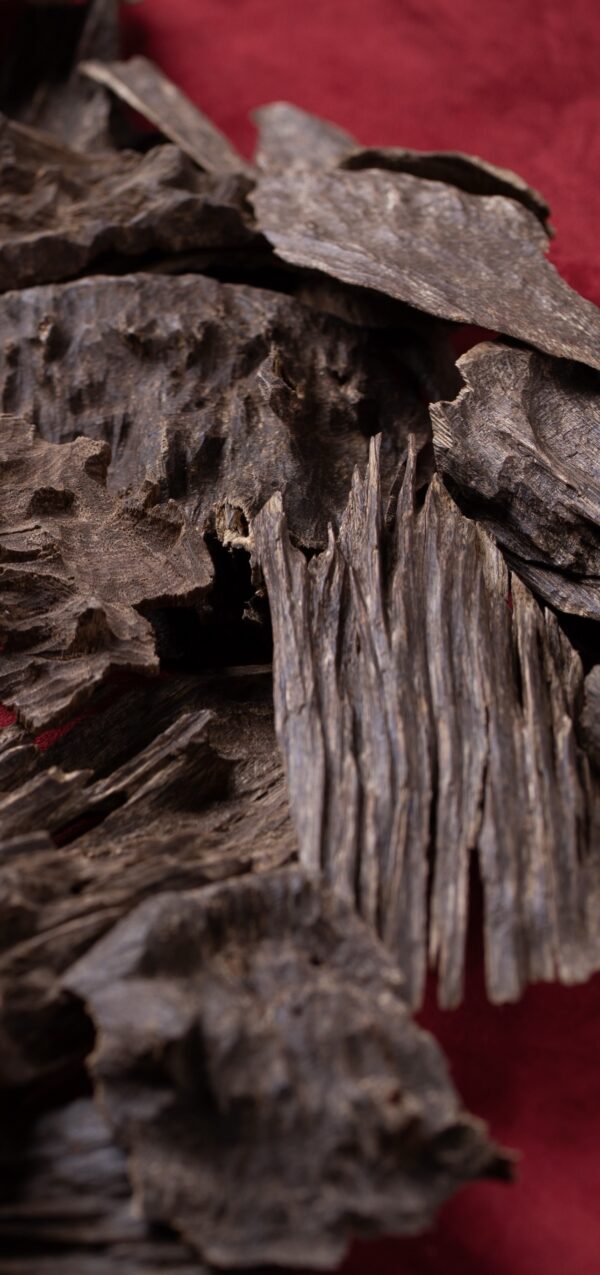 الچار الهندي ( غابات قاروهيلز ) ملكي تربل سوبر AAA