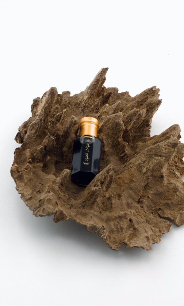 عود غابات جبل كاوياي (بخوري قديم)