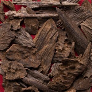 غابات جنوب تايلاند جبلي ( تحف جامبو متنوعة )