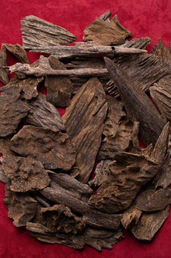 غابات جنوب تايلاند جبلي ( تحف جامبو متنوعة )