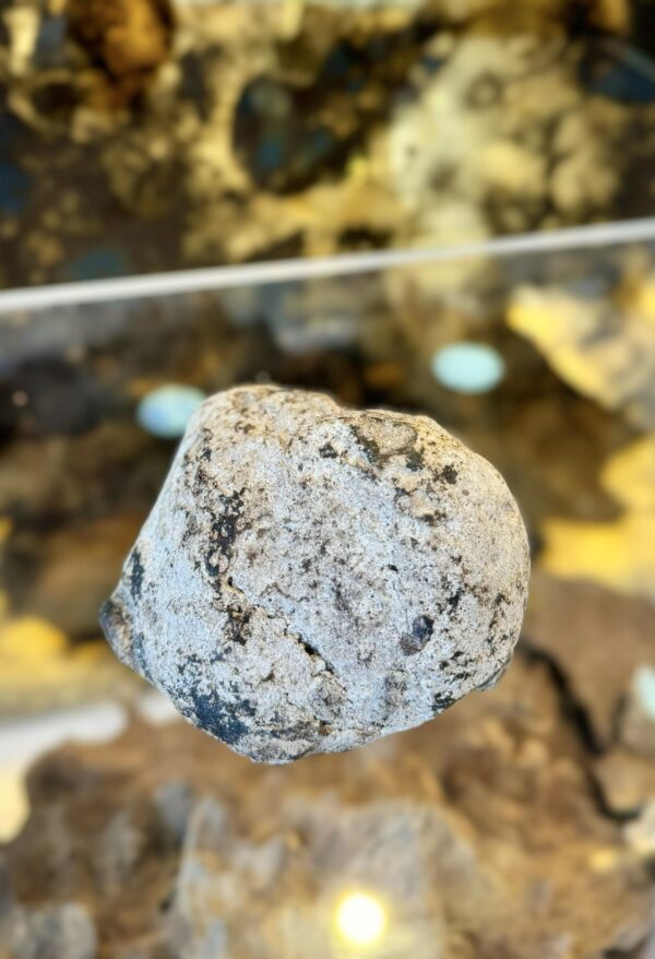 8186f13e-26ce-4a18-8a7a-2e72460c6c33 عنبر الحوت الأزرق VIP ( بيع القطعة كاملة ) ١٢٧ جرام