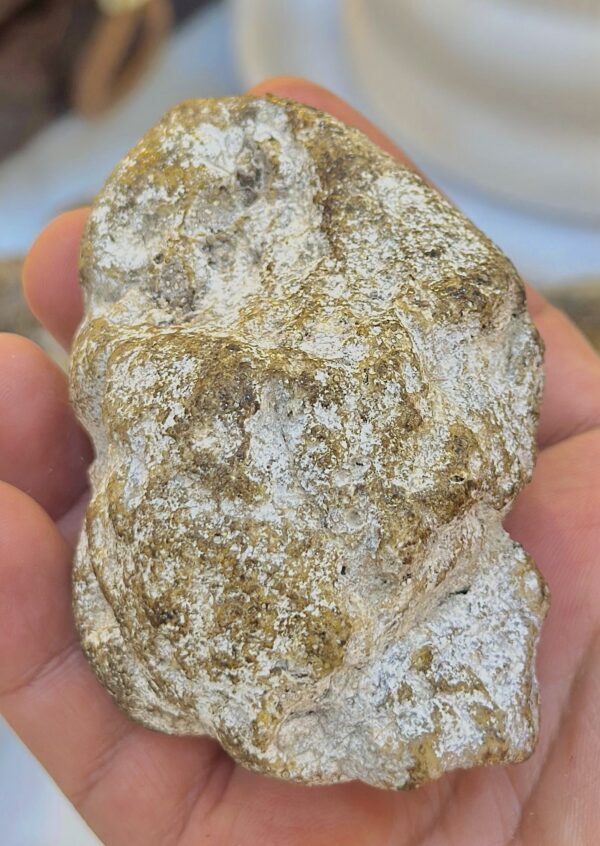 8d7e8c8b-7c31-4782-abcc-cea9211beccb عنبر الحوت الأزرق vip ( قطعة الذهب الأبيض ) بيع القطعة كاملة ٦٤جرام