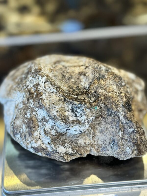 c0291bff-7fc8-44c1-a30d-44a3ecdb1b39 عنبر الحوت الأزرق vip ( قطعة كاملة تم البيع )