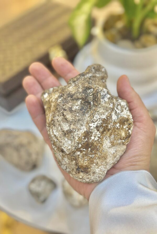 e2530b30-e361-4bc3-a30d-bfbe06081f23 عنبر الحوت الأزرق vip ( قطعة كاملة تم البيع )