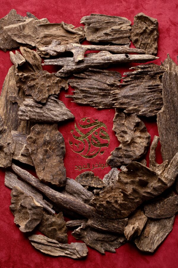 غابات جنوب تايلاند جبلي ( تحف جامبو متنوعة )