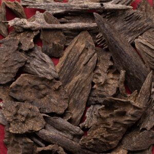 img_2094 غابات جنوب تايلاند جبلي ( تحف جامبو متنوعة )