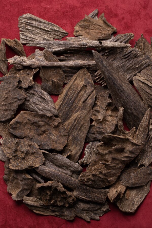 غابات جنوب تايلاند جبلي ( تحف جامبو متنوعة )