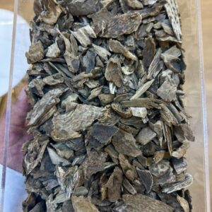 img_3238 سيلاني غابات آدم ( تصفية أقل من التكلفة )