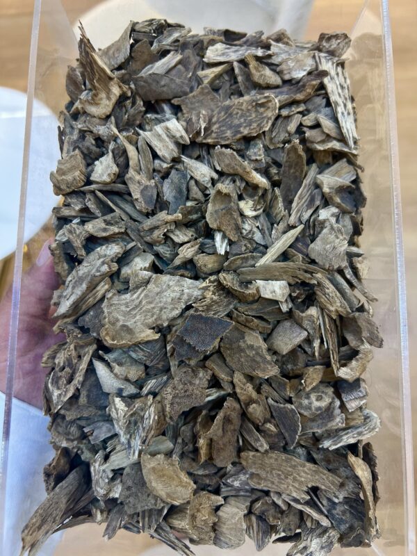 سيلاني غابات آدم ( تصفية أقل من التكلفة )