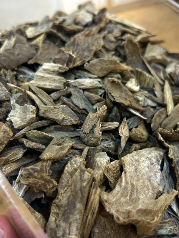 سيلاني غابات آدم ( تصفية أقل من التكلفة )