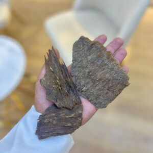 img_3240 الچار الهندي ( غابات قاروهليز ) سوبر ودبل