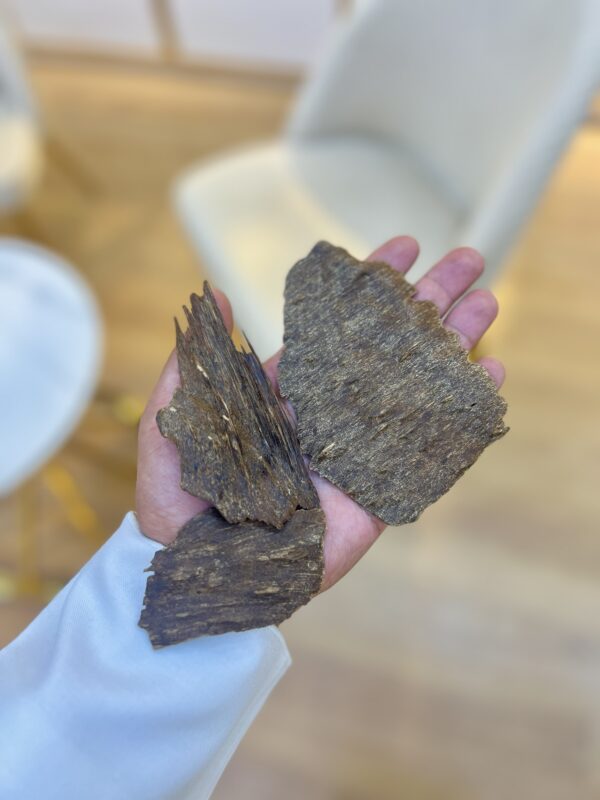 img_3240 الچار الهندي ( غابات قاروهليز ) سوبر ودبل