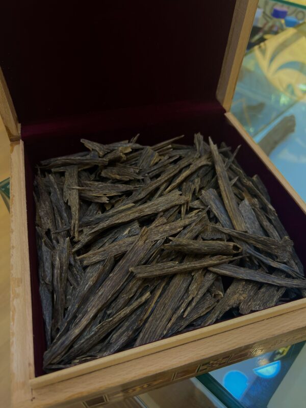 img_3242 VIP جوكليت ( غابات أنفال هندي نوادر ) ريحة راقية منقرضة AAa