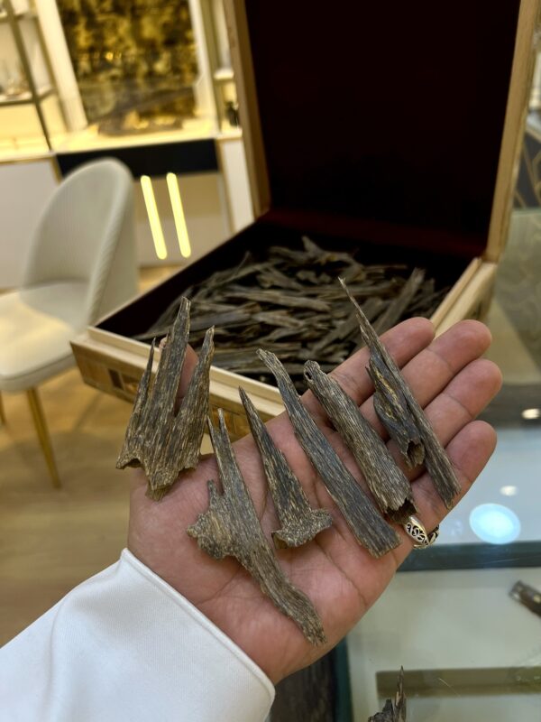 img_3246 VIP جوكليت ( غابات أنفال هندي نوادر ) ريحة راقية منقرضة AAa