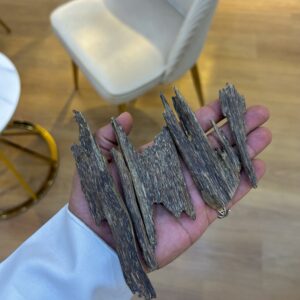 العود الماليزي ( غابات بيهانق )