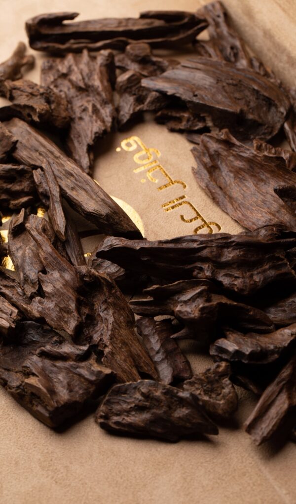 VIP كمبودي الديوان الأميري ( قديم حَجري )