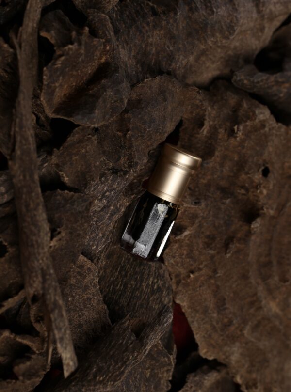 نوادر كمبودي منقرض ( معتق 35 سنة )