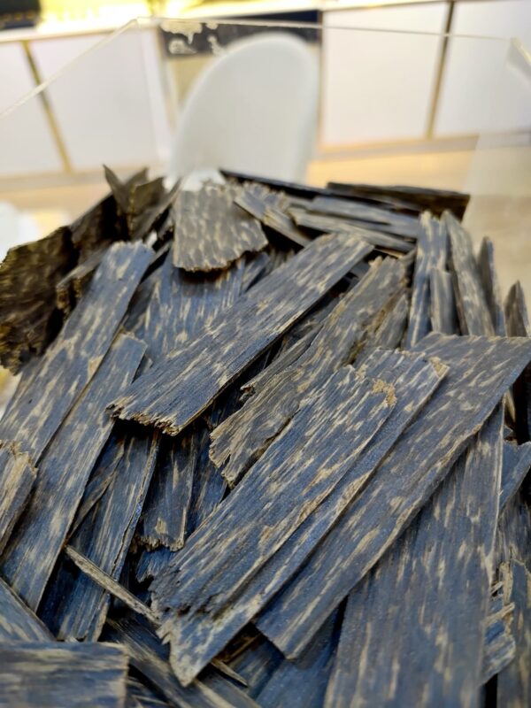 رقائق التايقر ( جديد وعجيب )