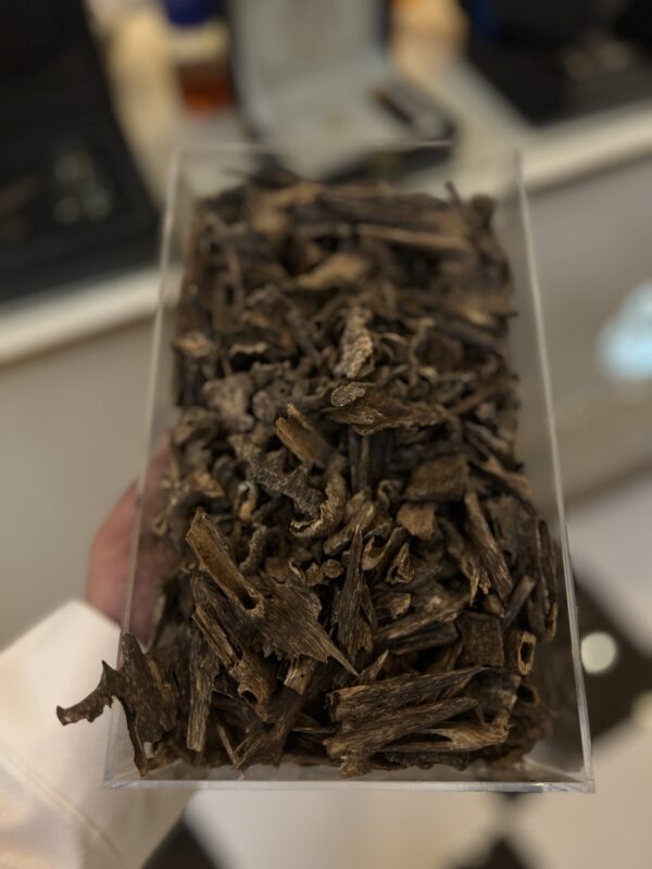 لأول مرة ( موري غابات أنفال VIP )